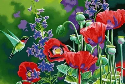 Hummingbird and Poppies
