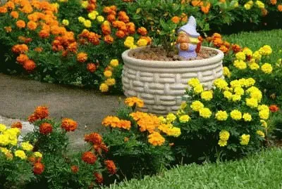 Duende no jardim jigsaw puzzle