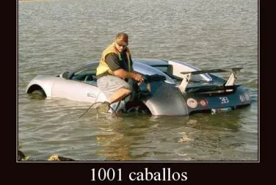 1001 CABALLOS QUE TENÃAN SED.