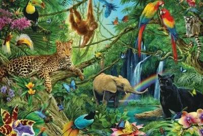 Jungle animals  Brasil
