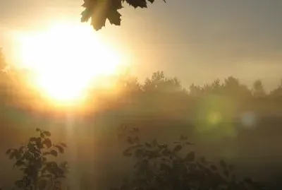 Misty dawn - see the green face ?