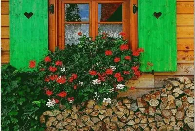 Windows in Austria