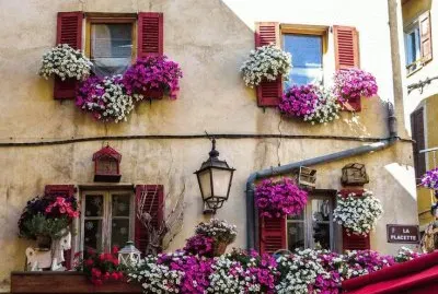 Windows in France