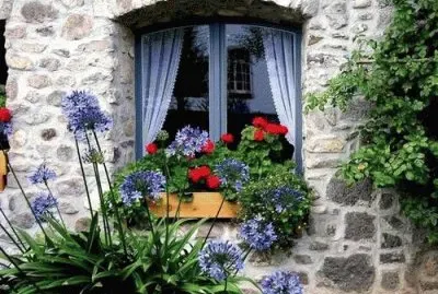 Windows in Austria