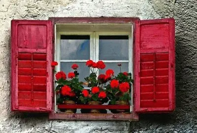 Windows in France