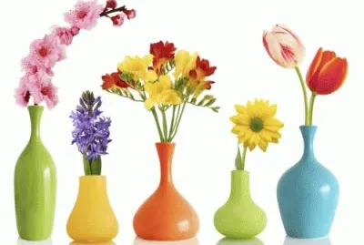 Vasos com flores