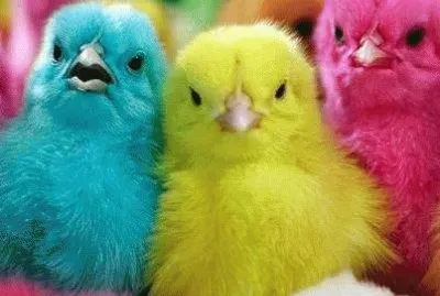 Living Peeps