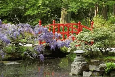 Japanese Garden  Clingendael  The Hague jigsaw puzzle