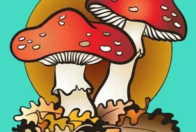Cogumelos jigsaw puzzle