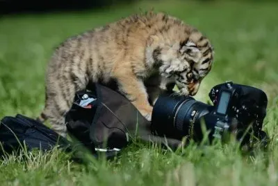 Â¿cÃ³mo me tomo la foto?