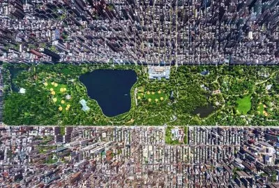 פאזל של central park-56