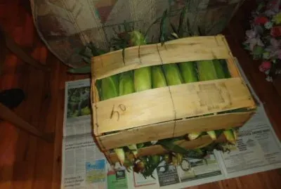 From the cob to the freezer
