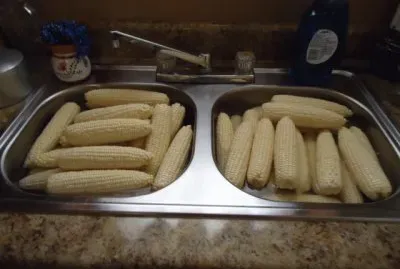 Shucked corn 3