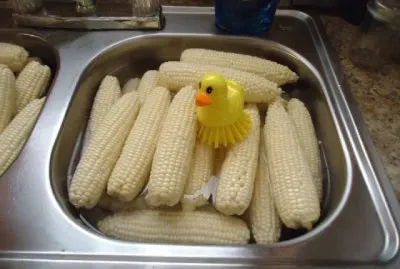 Corn brush 1