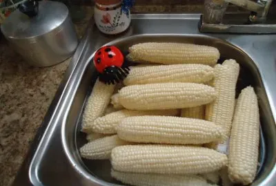 Corn brush 2