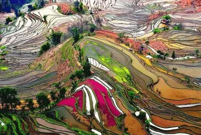 rice mountain