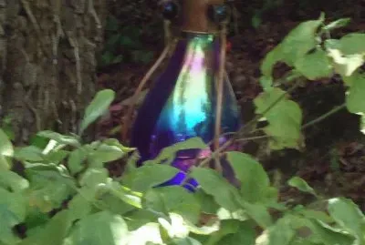 ornament in tree