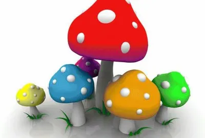 פאזל של Cogumelos