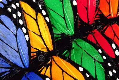 mariposas jigsaw puzzle