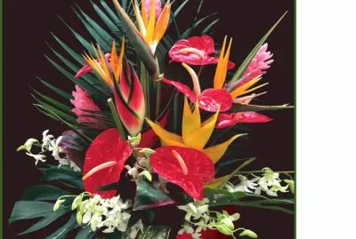 Bouquet