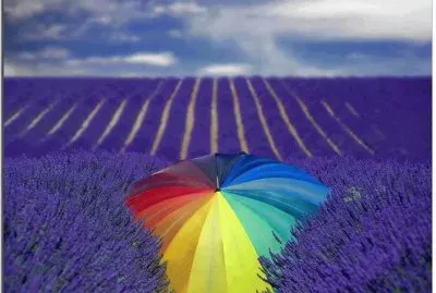 rainbow jigsaw puzzle