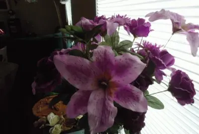 more flowers