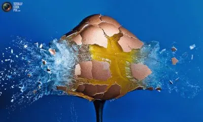 HUEVO BALACEADO. jigsaw puzzle