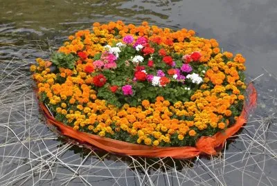 Temps de Flors 2014