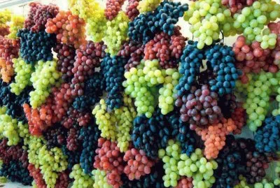 fleurs: raisins jigsaw puzzle