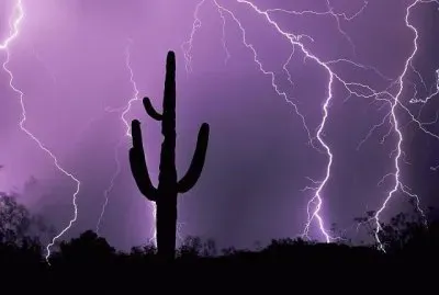 Tucson Lightning with Saquaro jigsaw puzzle