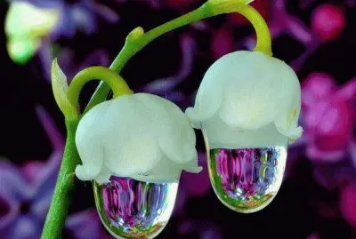 Wonderful