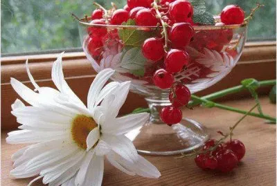 cereja jigsaw puzzle