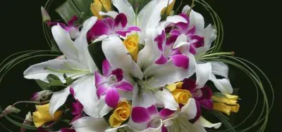 fleurs: orchidÃ©es jigsaw puzzle