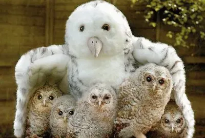 mom #152 jigsaw puzzle