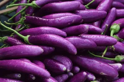 Eggplants  Myanmar