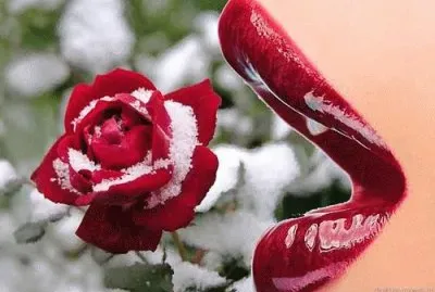 Rose and Lips jigsaw puzzle