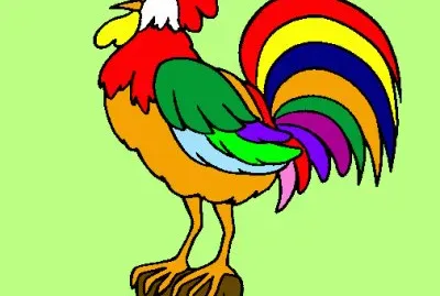 Galo colorido