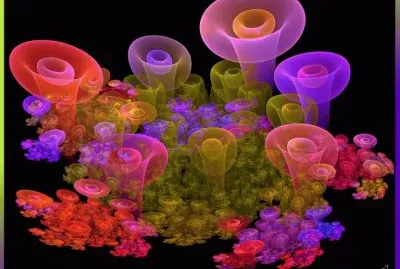 Magical Mushrooms