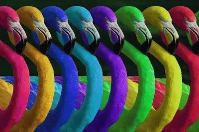 Flamingo 's in different colors jigsaw puzzle