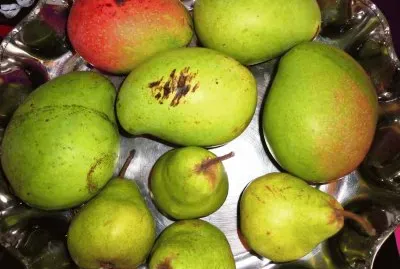 MANGOS