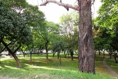 PAISAJE CAMPESTRE jigsaw puzzle