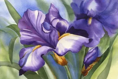 Purple Iris Watercolor jigsaw puzzle