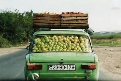 Fruit transportation  Belarus