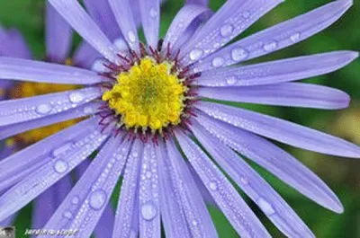 oeil du christ jigsaw puzzle