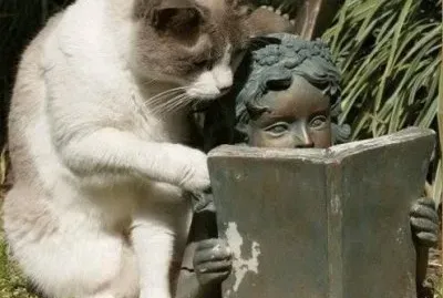 פאזל של curiositÃ 