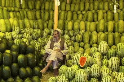 The Melon seller of Kabul  Afghanistan