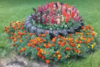 Reciclando Pneus