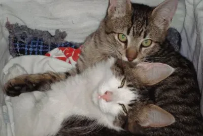 INDIO Y POPI JUGANDO