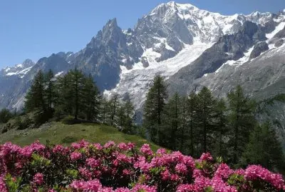 פאזל של NÂº 408