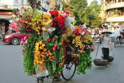 Flowers seller  Hanoi  Vietnam